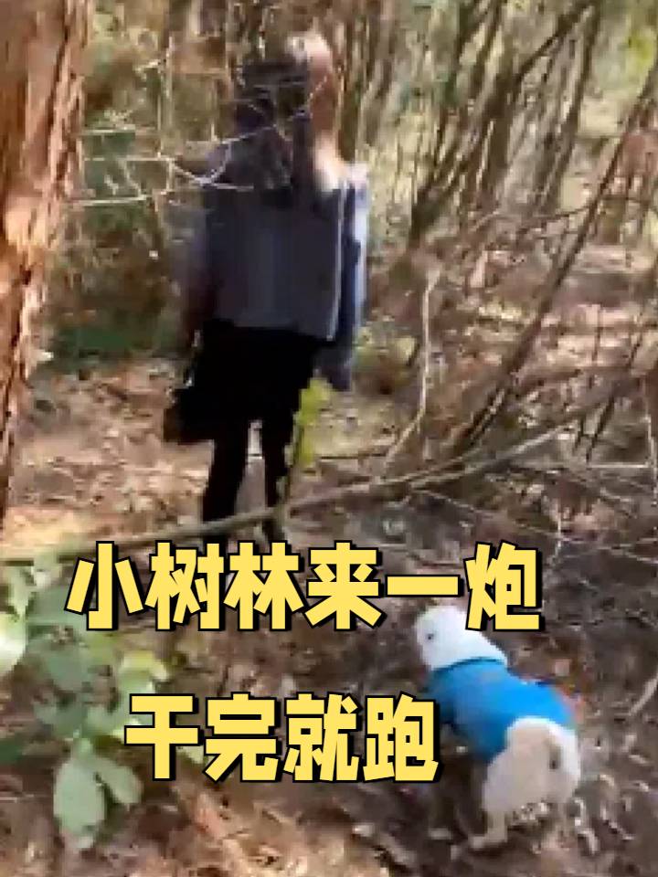 小树林操逼干一票赶快跑