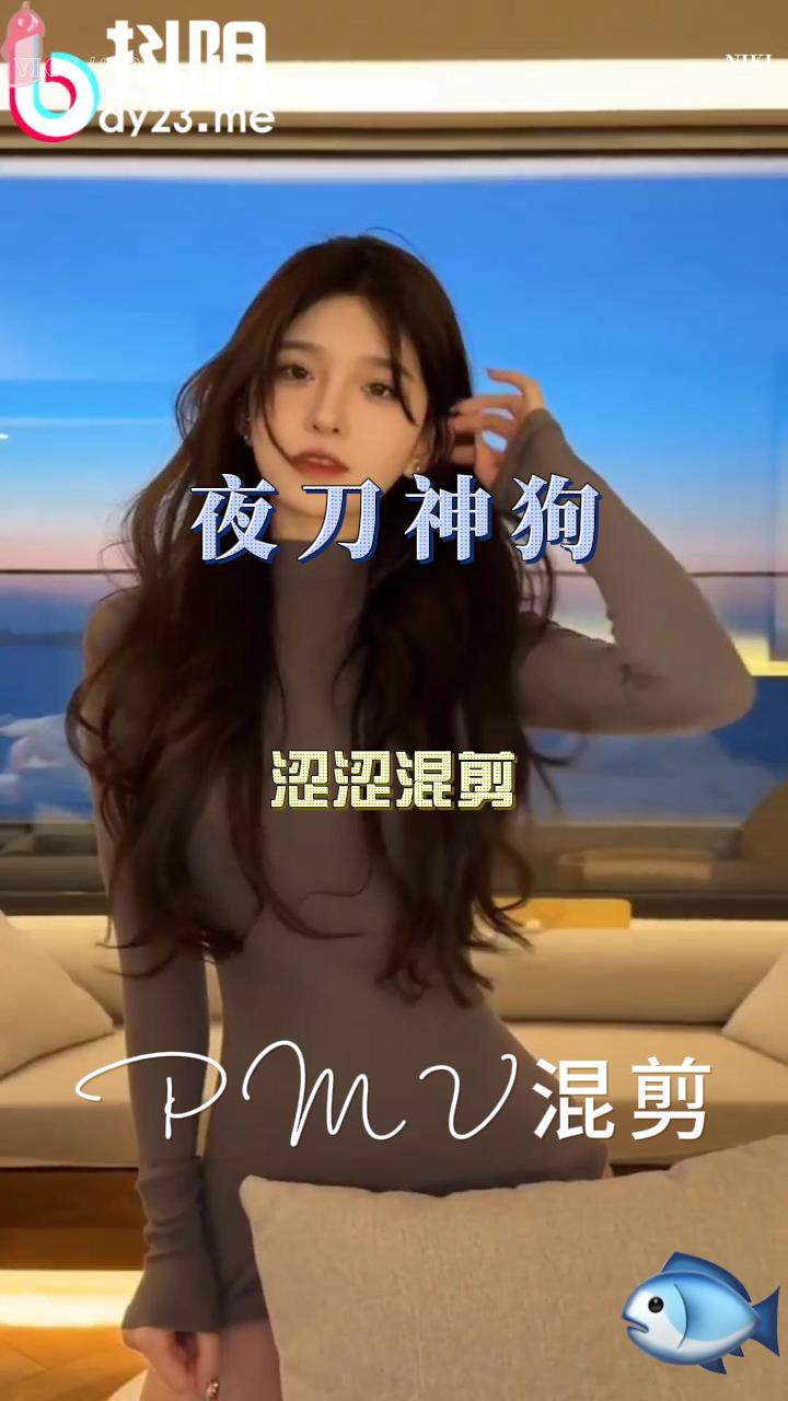 pmv 系列  夜刀神狗 混剪