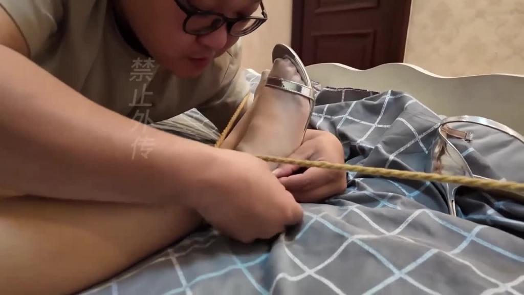 【枫叶工作室】深入虎穴(上) 预览截图 3