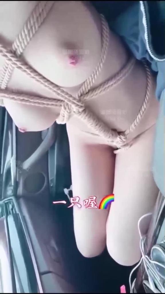 百万粉【小青柑】被调教包养 预览截图 8