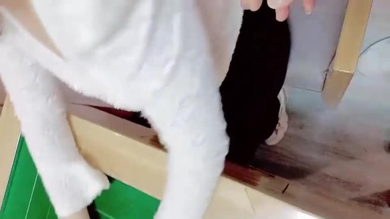 ①勾引舅妈!舅妈输牌又输人,在麻将桌旁强上舅妈 预览截图 1