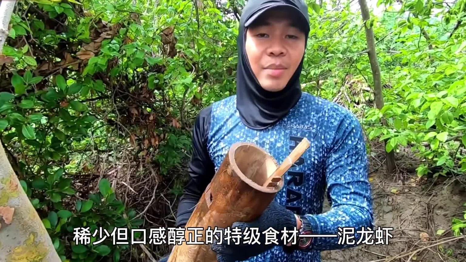 在红树林里捕捉泥龙虾,口感和味道比罗氏虾更加鲜美 预览截图 2
