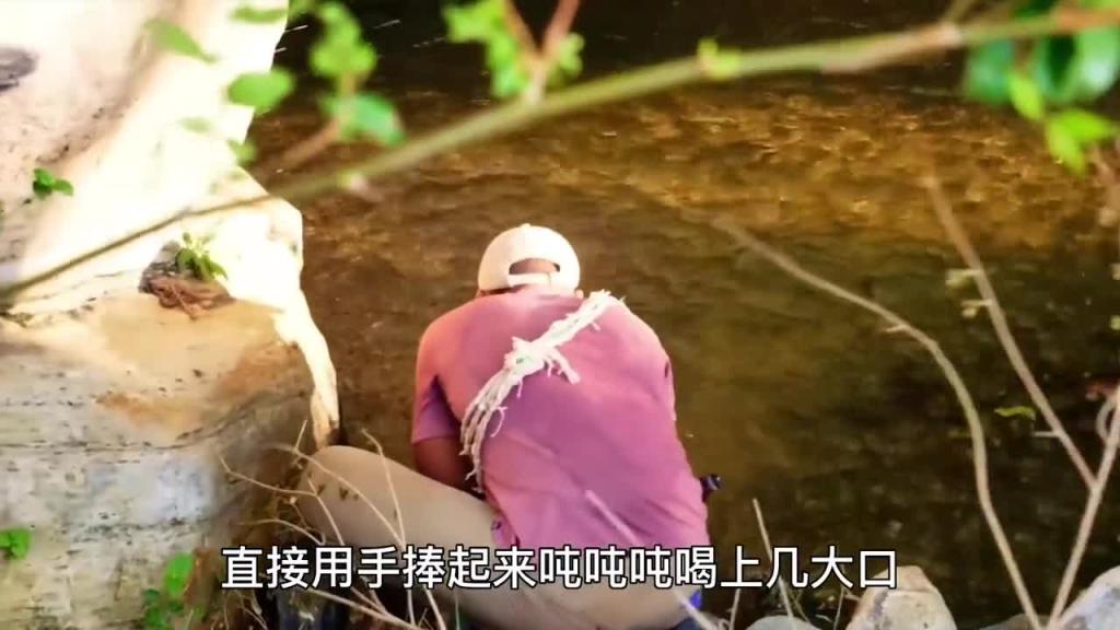 挨饿专家果然有两下子,抓到20斤的小鲈鱼当水袋 第二段 预览截图 5