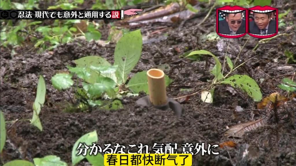 爆笑整活,你知道现实中的忍术是怎样的吗 预览截图 8