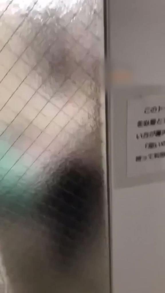 【热门事件】牛逼日本仔海滩公共冲洗间随机开盲盒 预览截图 2