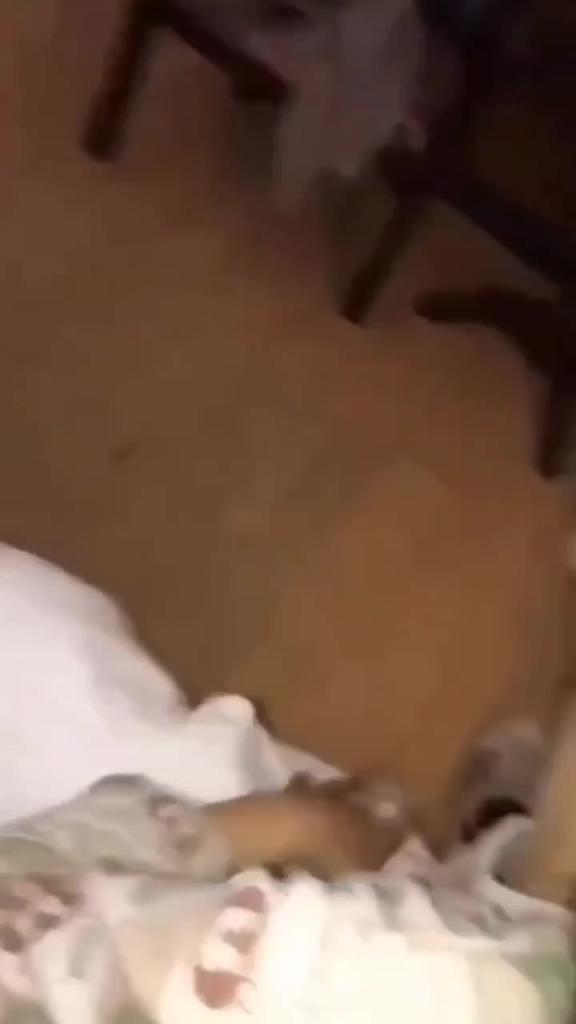 独家原版河南兄妹乱伦事件,哥哥调教上高一的妹妹,一线天白虎逼早早就被哥哥拿下了 预览截图 2