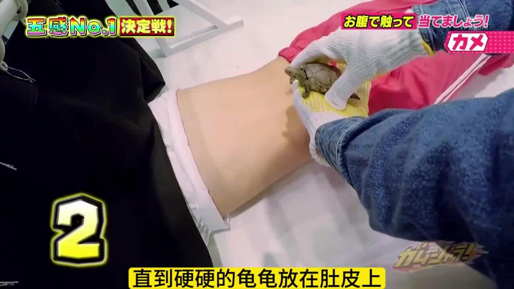 爆笑整蛊，肚皮猜物 预览截图 10