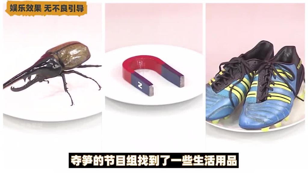 日本整活综艺,难以分辨的物品1 预览截图 2