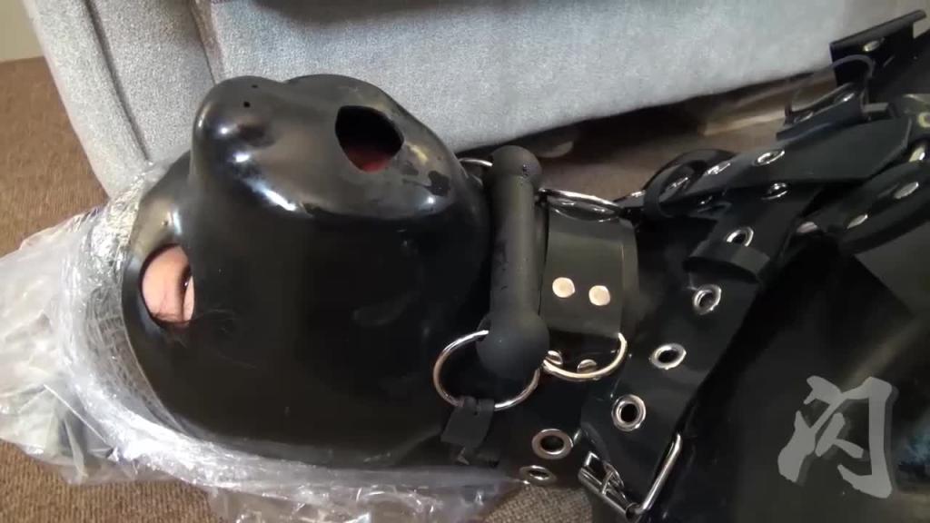 【防化女团】闪闪工作室【喵】全体乳胶衣人形犬,犬化窒息强制 预览截图 12
