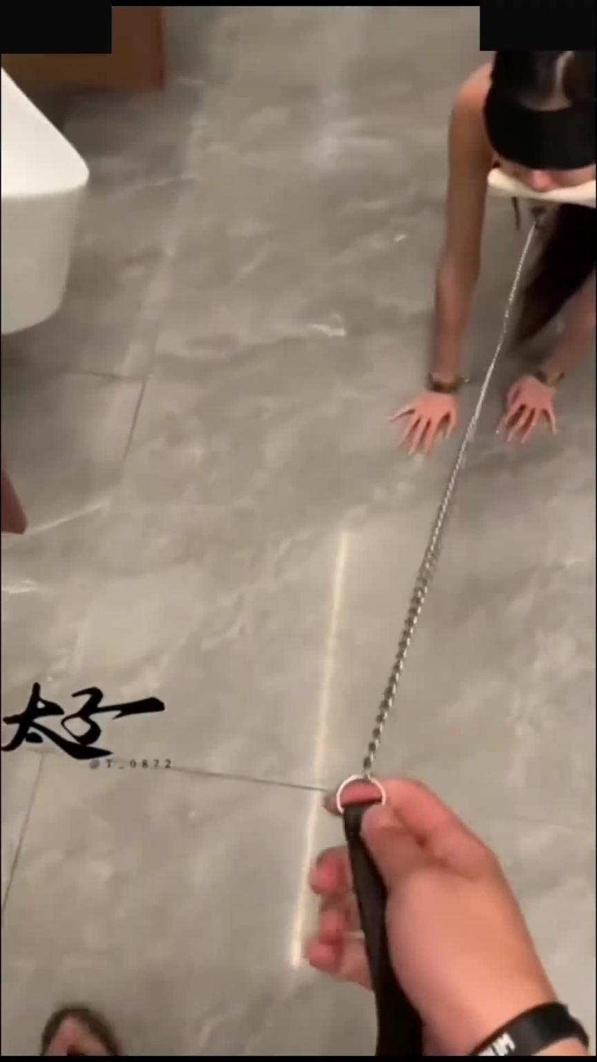 母狗训练调教各种社死瞬间,调教反差模特骚女,狗链爬行露出啪啪能玩的都玩了 预览截图 3