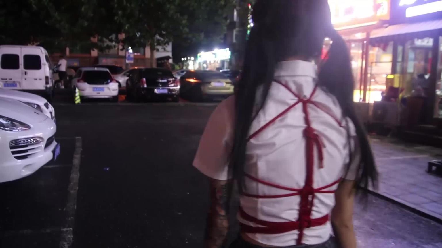 最强繁华路段龟甲游街惊呆路人！ 预览截图 7