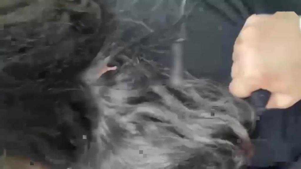 风情绝代·蓝阿姨惊艳气质涂抹红唇舌吻,一番大战内射饱满精液! 预览截图 8