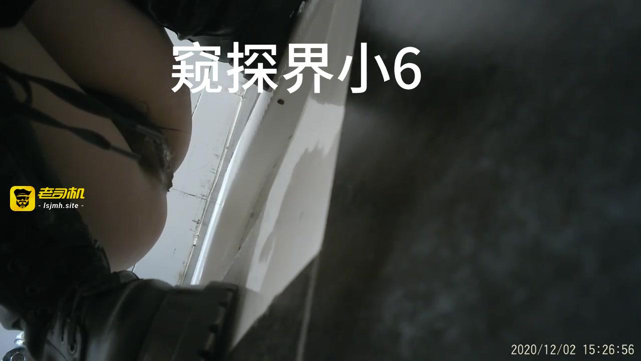 【精品厕拍】未流出多个作者60多个作品大杂烩131V 预览截图 5