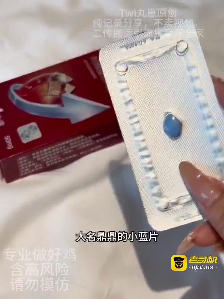 咯咯哒的一天 vlog 伟歌版本下 预览截图 2