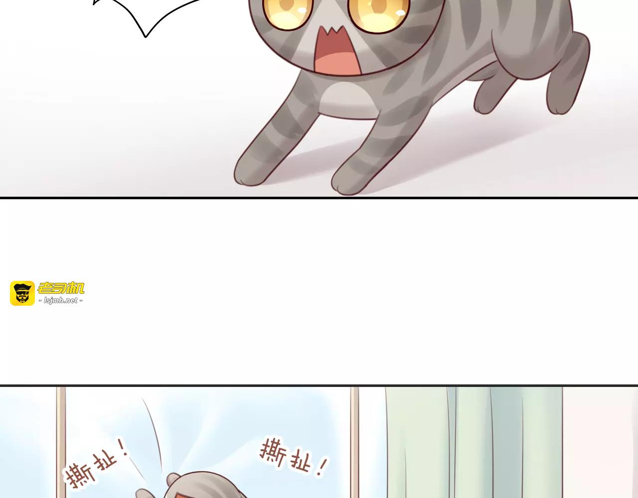 第50话 互换身体！？ 第 17 页