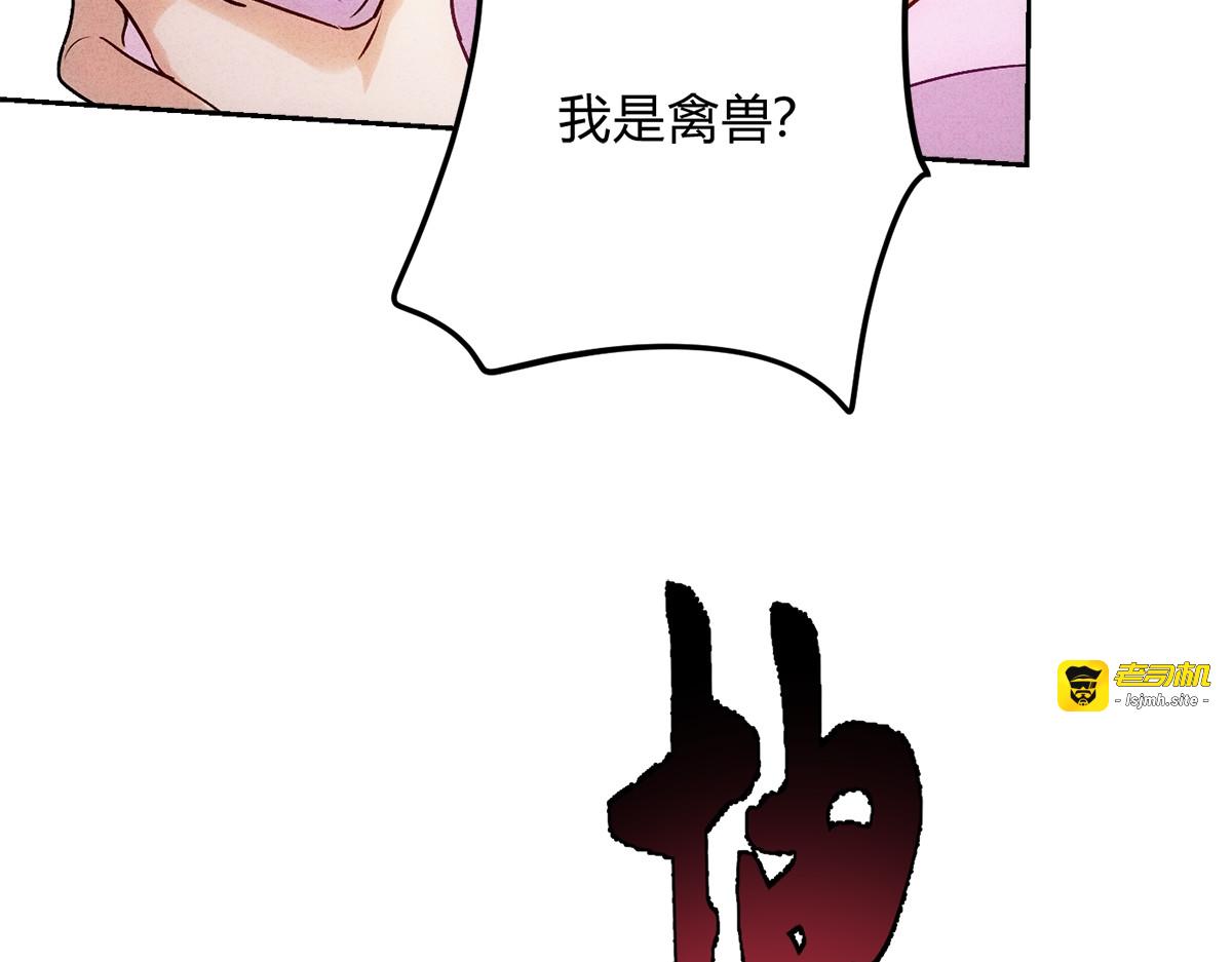 10大鹅得到 第 37 页