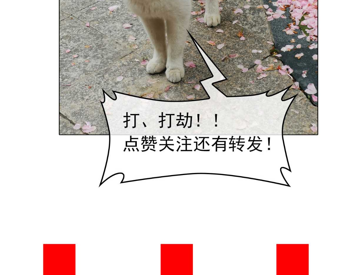第52话 史密斯家族 第 110 页