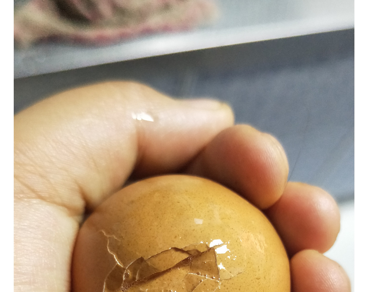 仙女黄金蛋 第 16 页