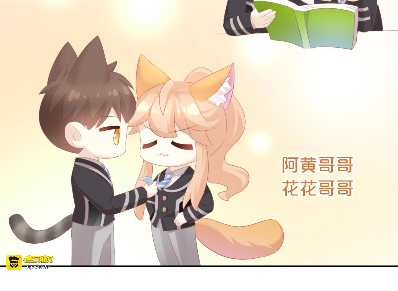 第121话 猫爪学园（四） 第 49 页