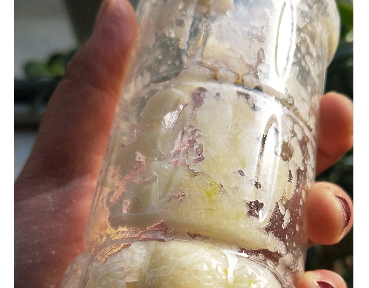 仙女的油泼面 第 26 页