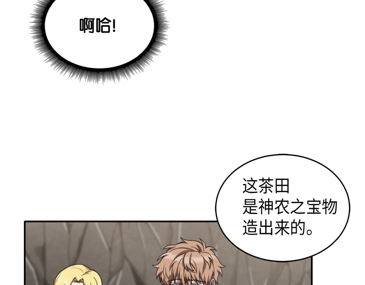 神农之宝物 第 118 页