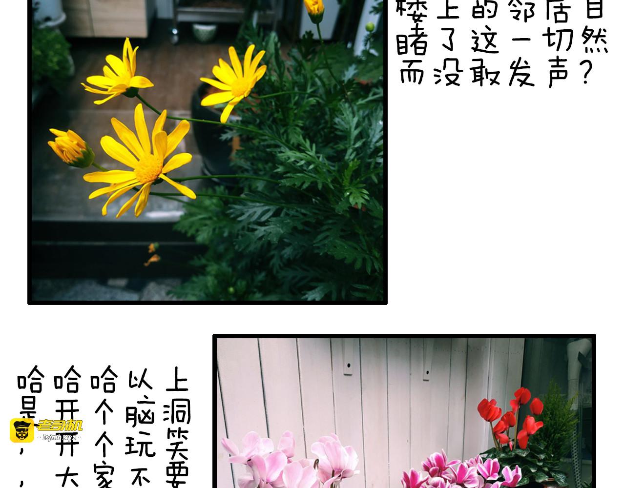 第68话 山神误服烦心果 第 105 页