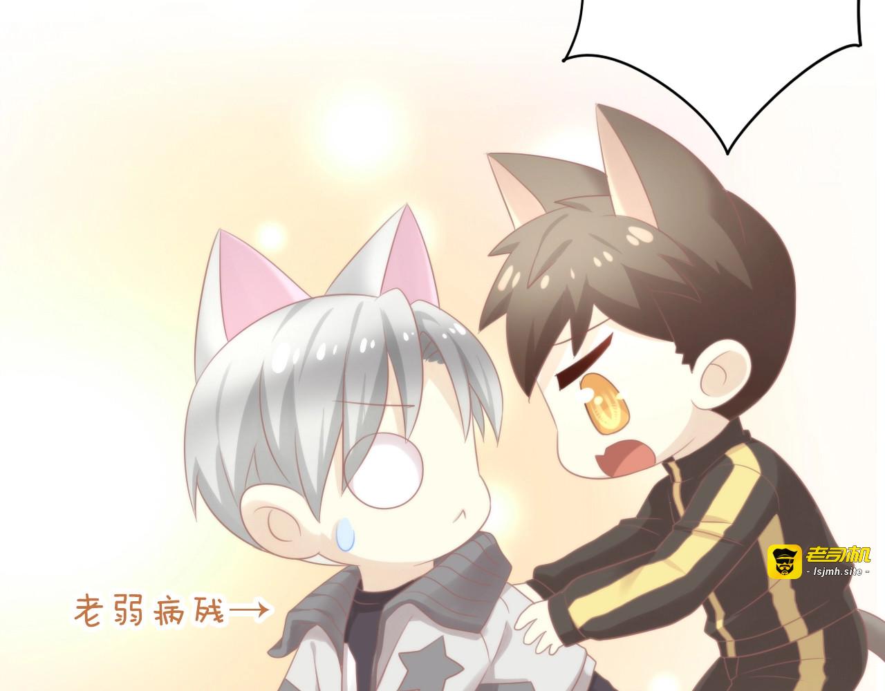 第126话 猫舍C位（二） 第 73 页