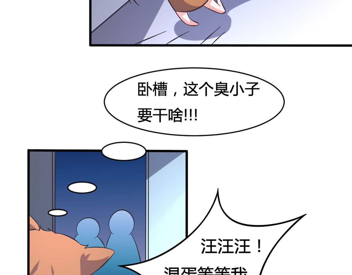 第17话 第 20 页