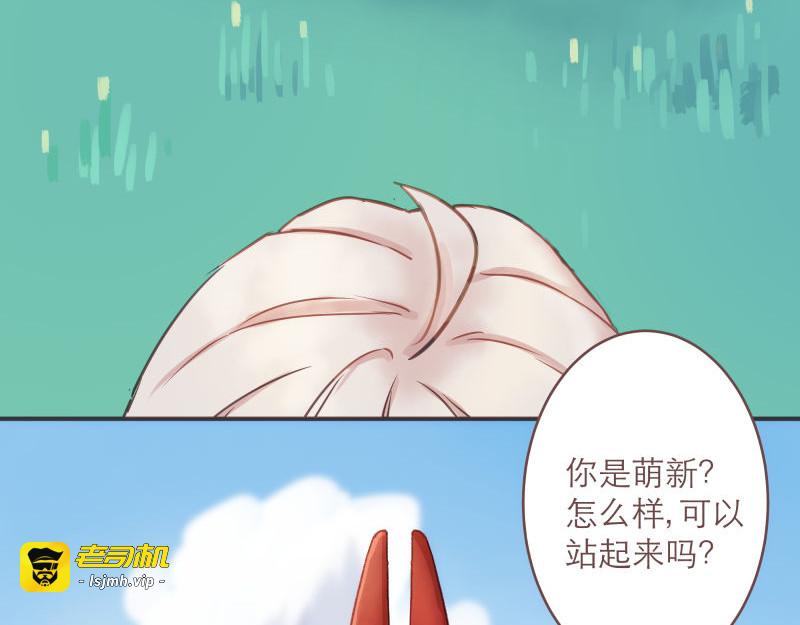 第7章 满级大佬带飞啦 第 3 页