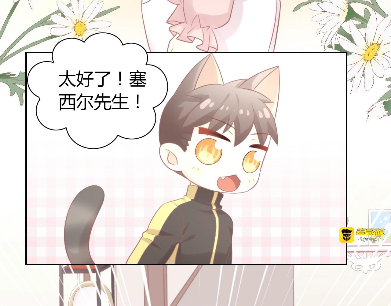 第130话 猫舍C位（六） 第 9 页