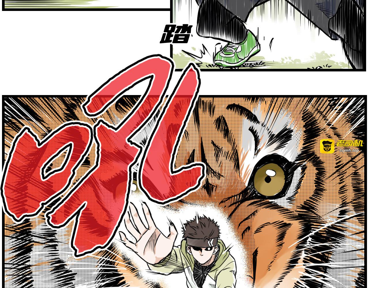 能不能打 第 13 页