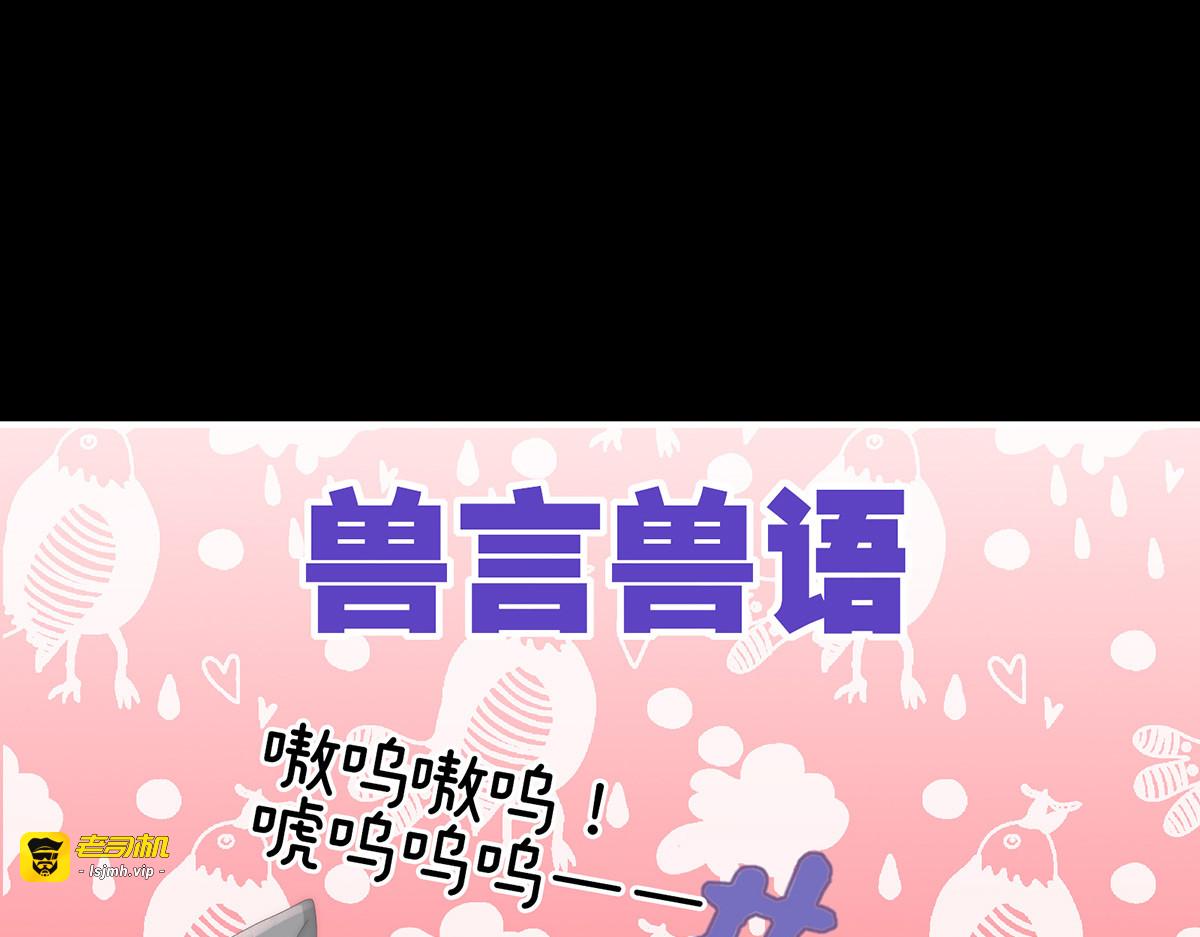 85 小动物也争宠？ 第 45 页