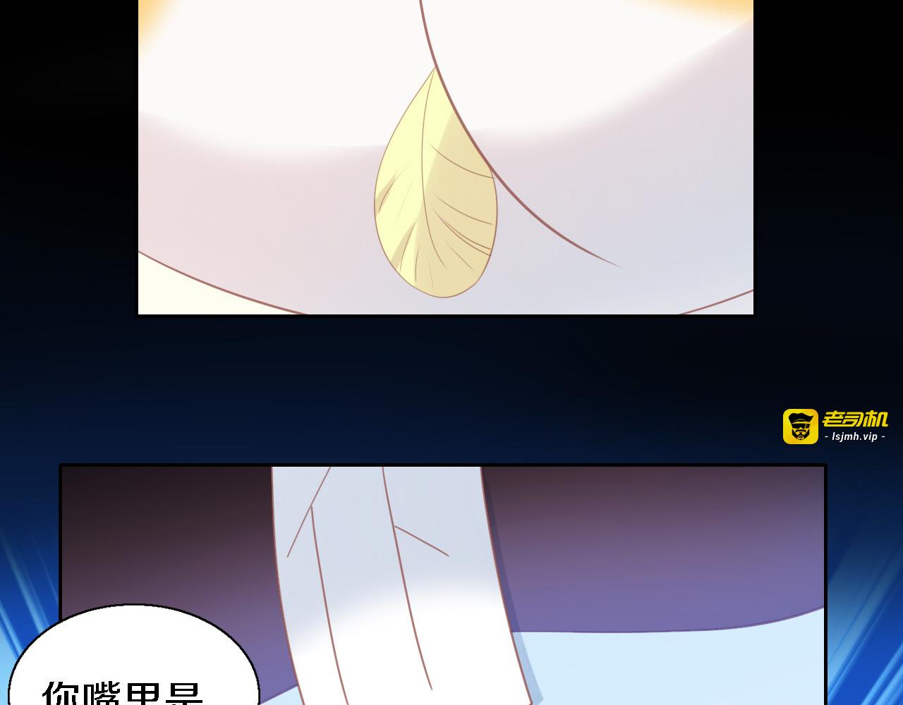第147话 走花路吧！皮卡！ 第 43 页