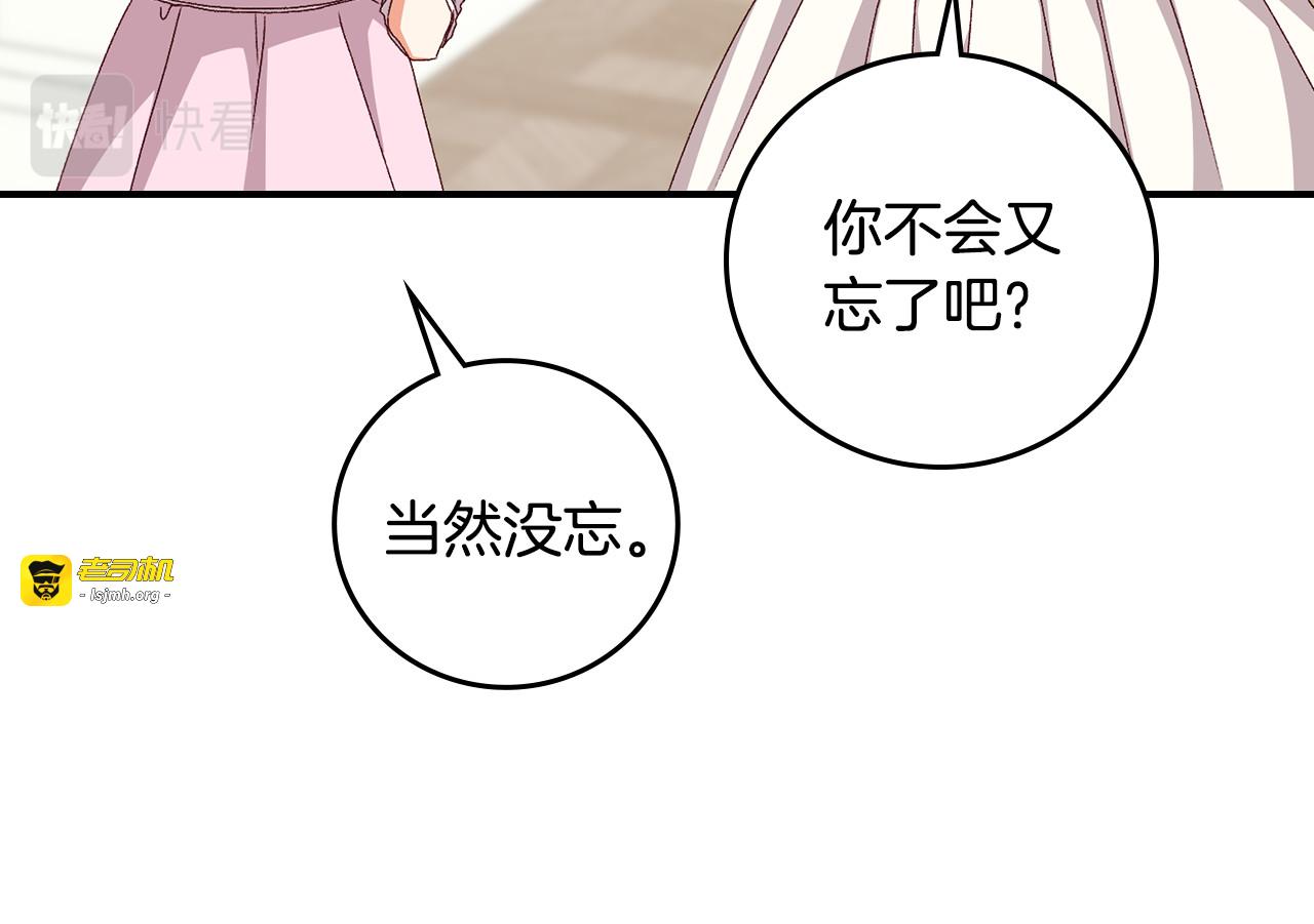完结篇 婚礼 第 13 页