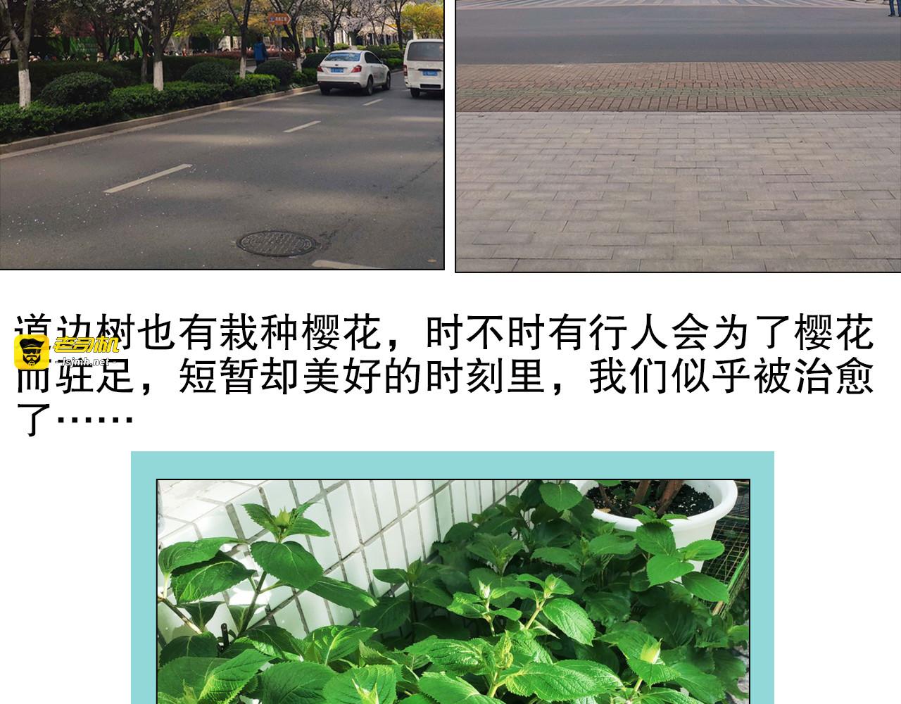 第83回 山神见小枣妈妈了 第 79 页