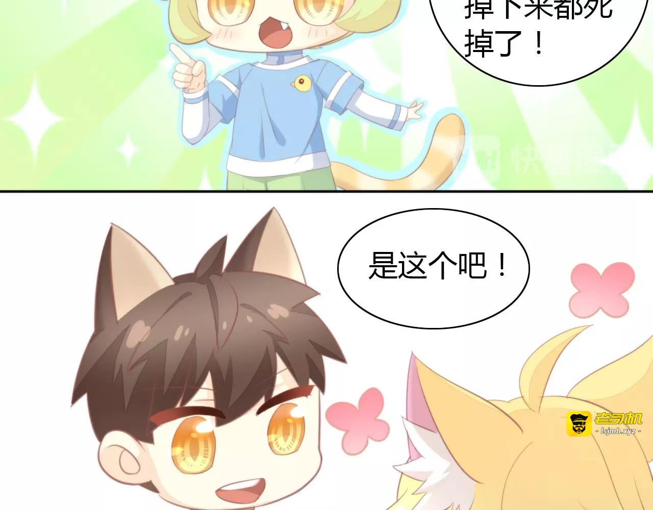 第105话 蚊子战争 第 17 页