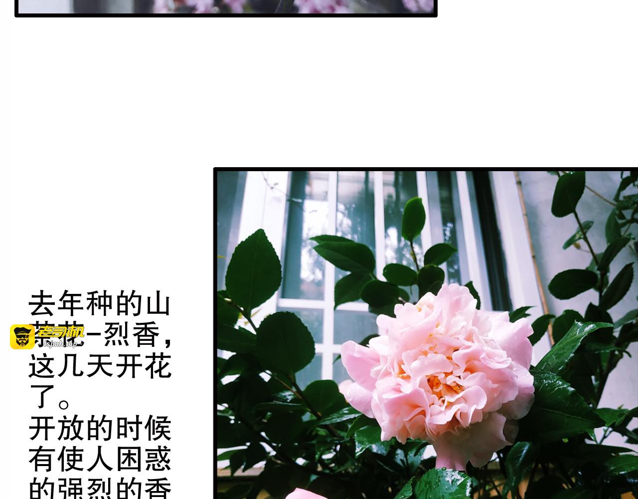 第81回 你年纪小以后再说 第 69 页
