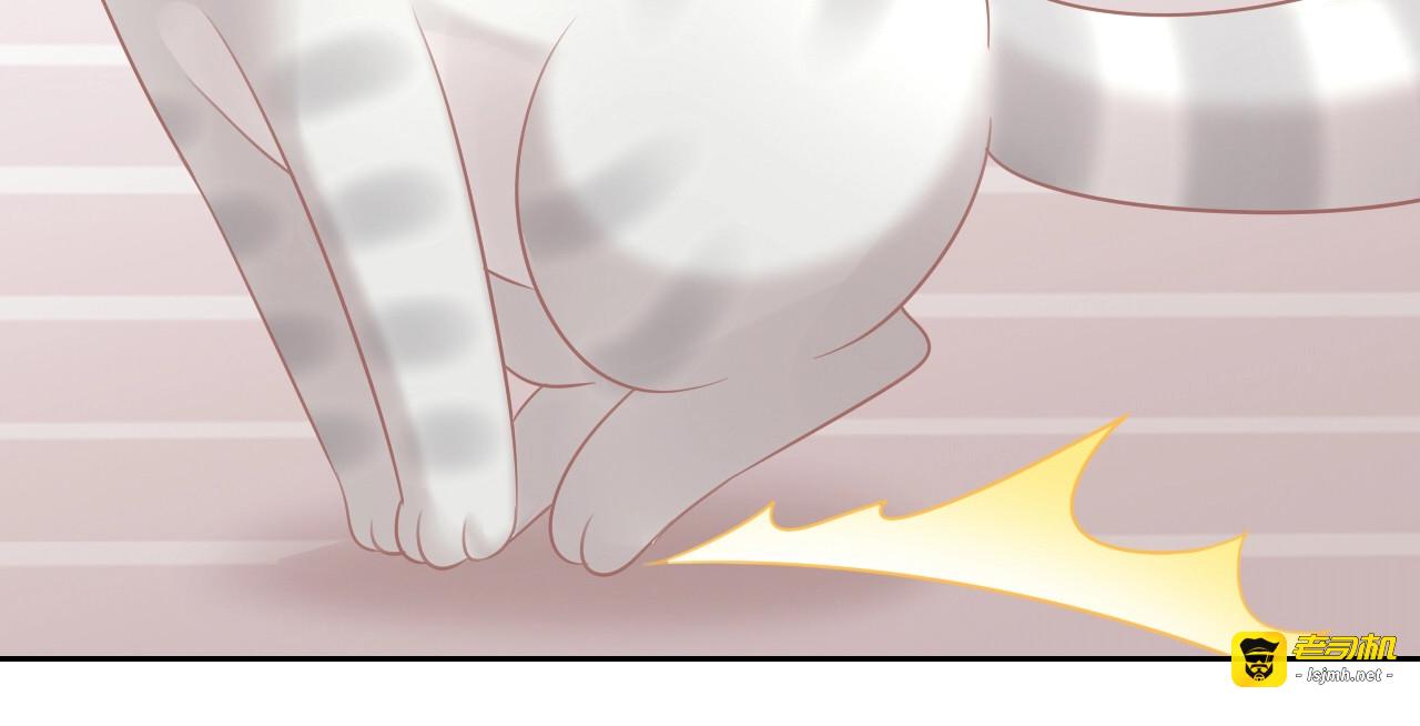 第130话 猫舍C位（六） 第 15 页