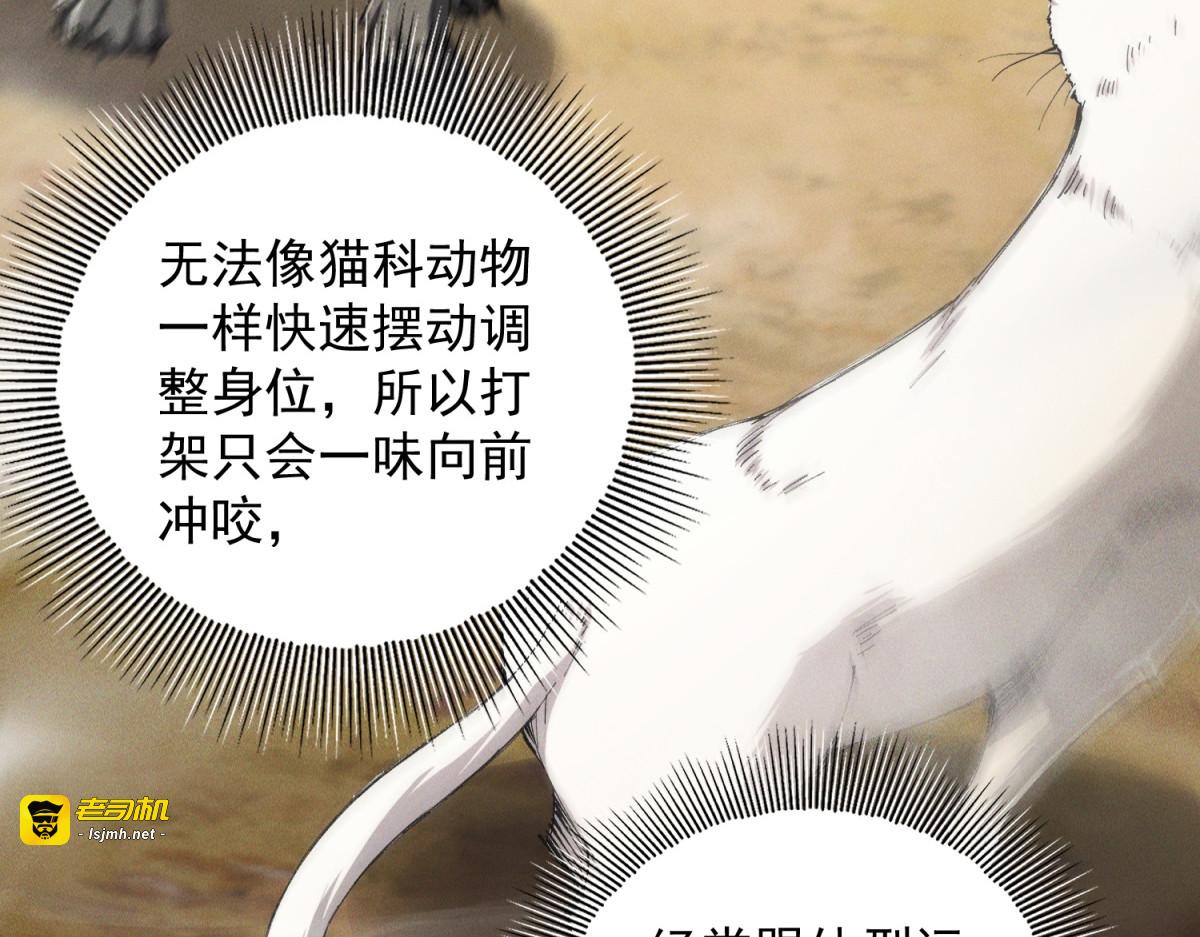 第44话 以小博大 第 81 页