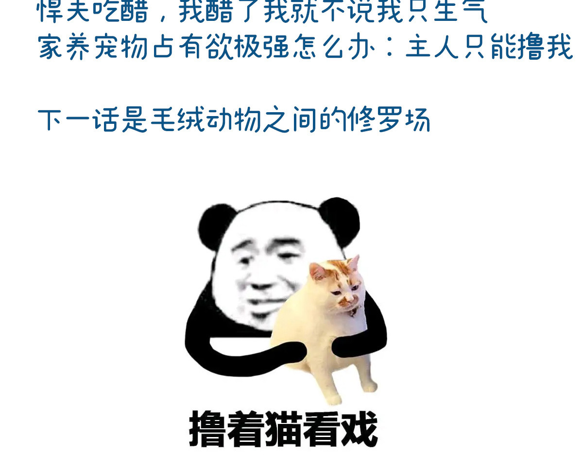 38 她最爱的还是你！ 第 120 页