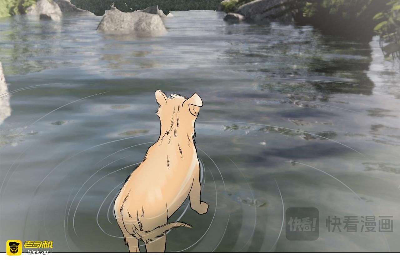 雾隐村5 第 9 页