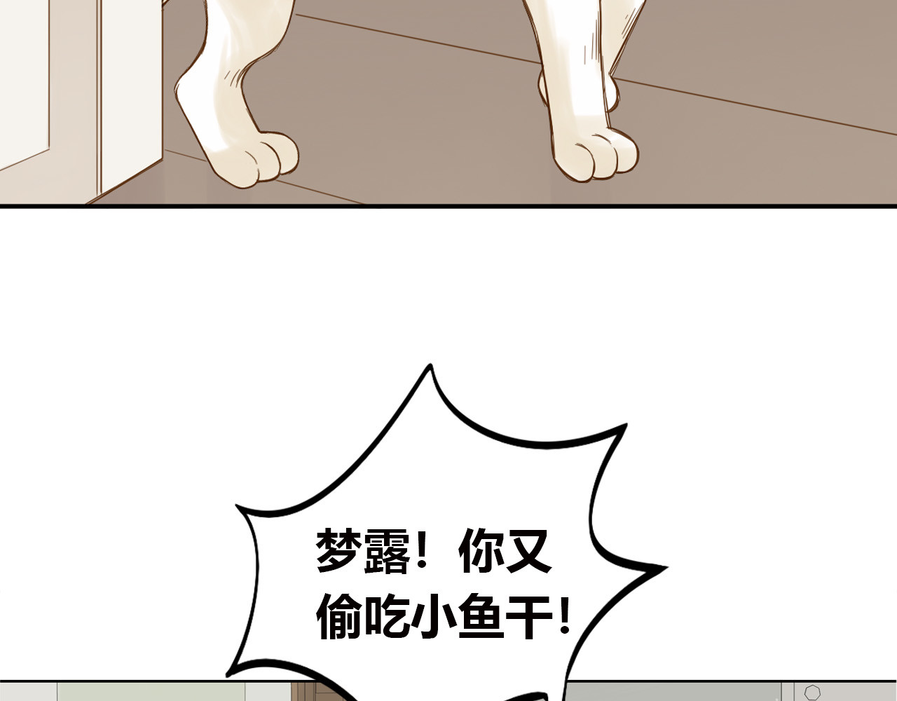 第24话 再见，大蓝象 第 66 页