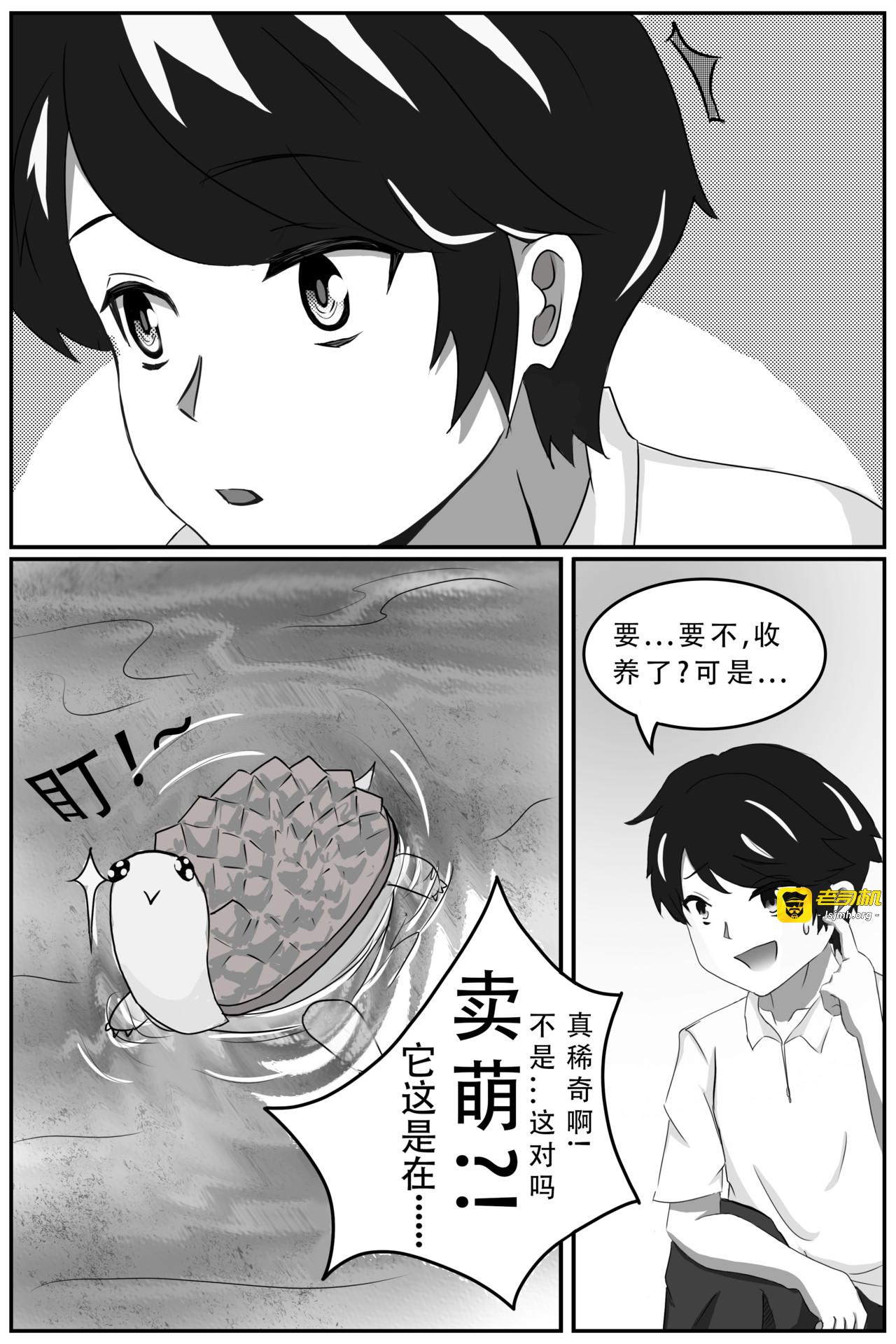 01  漂亮龟龟手慢无？ 第 15 页
