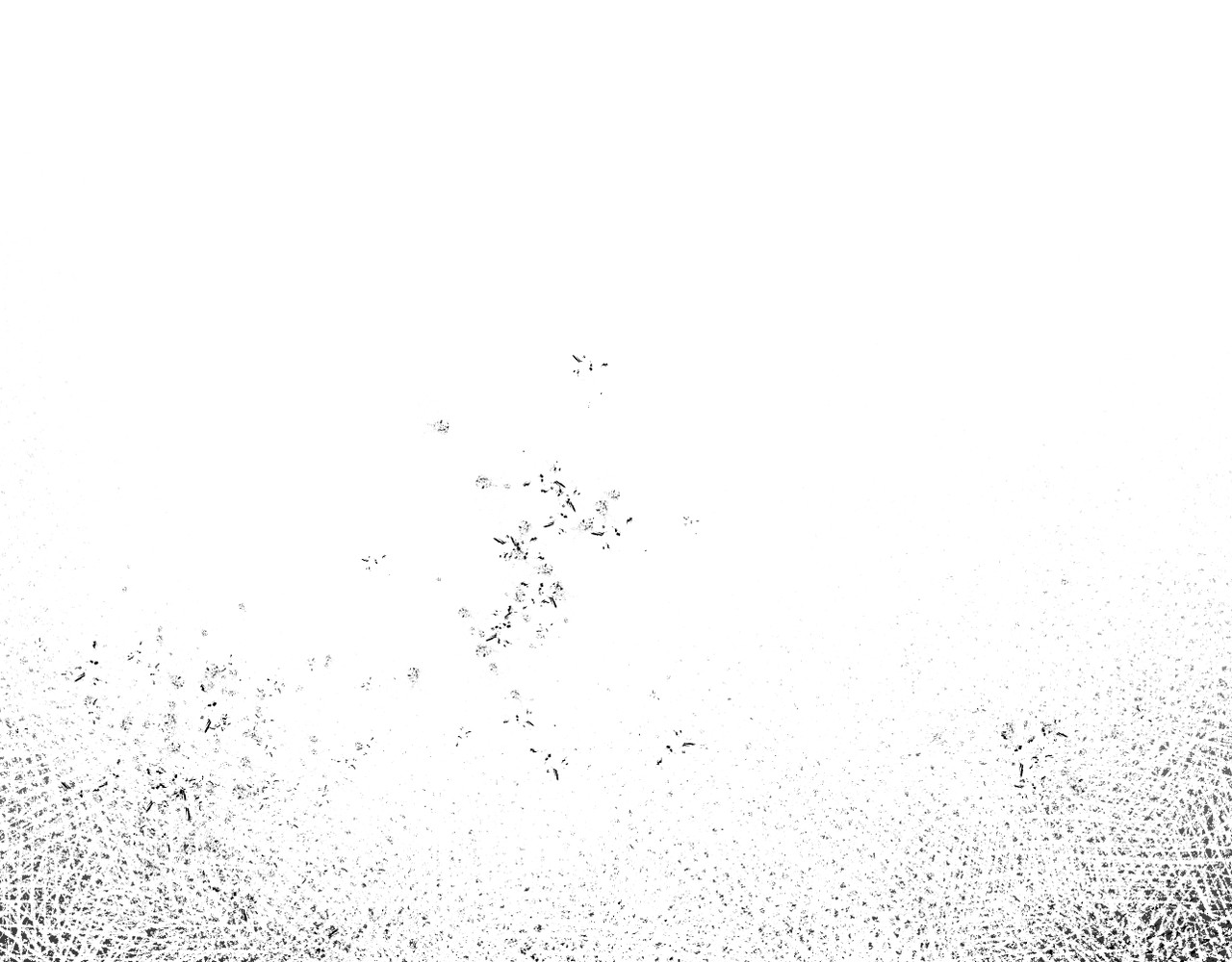 第19话 第 56 页