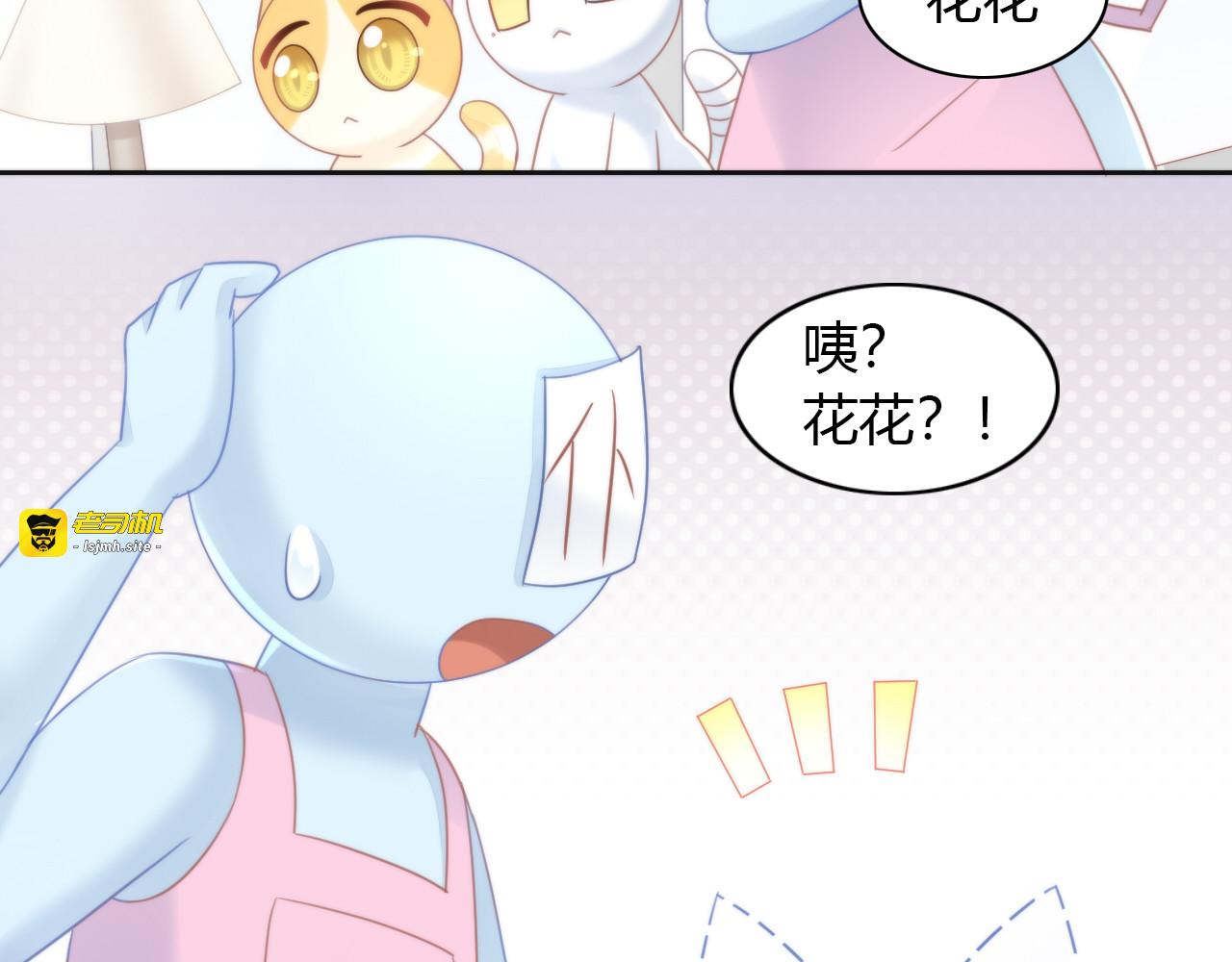 第79话 一只猫的战争 第 41 页