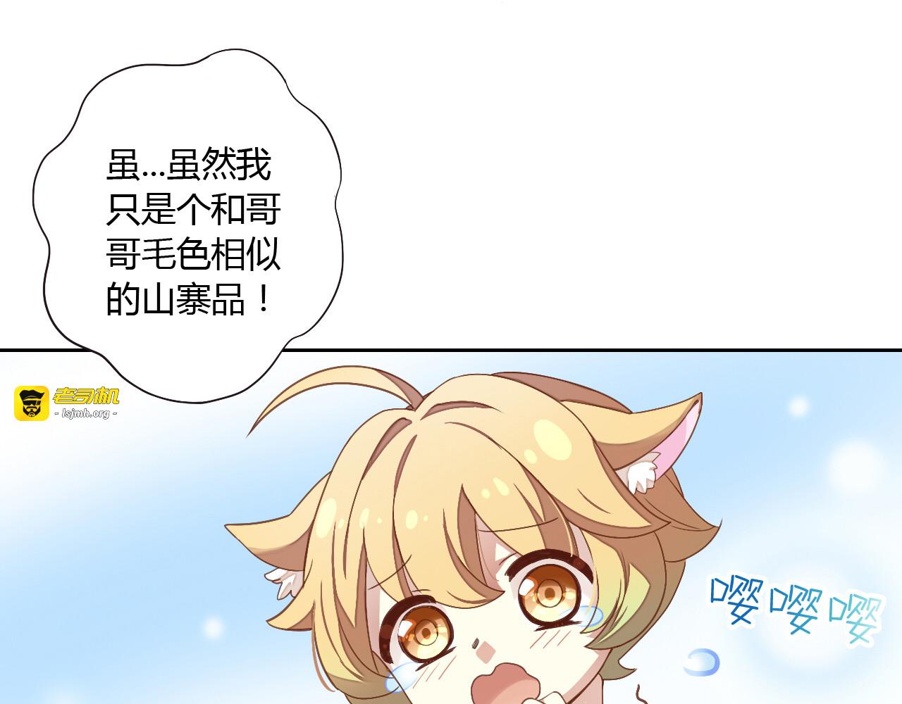 第1话  猫主子驾到！ 第 19 页