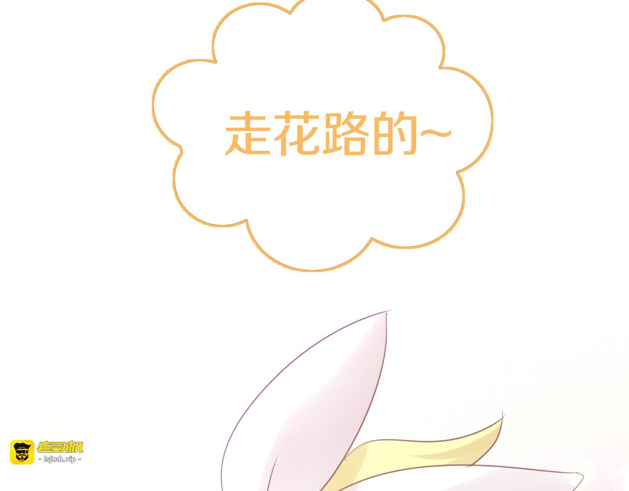 第147话 走花路吧！皮卡！ 第 81 页