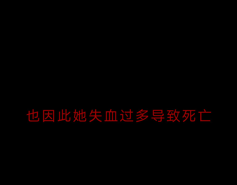 预告 第 12 页