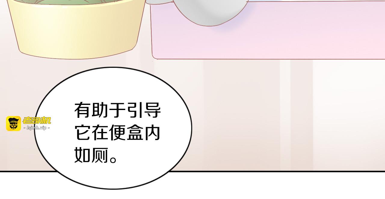 第190话 兔叽的“坏心眼” 第 51 页