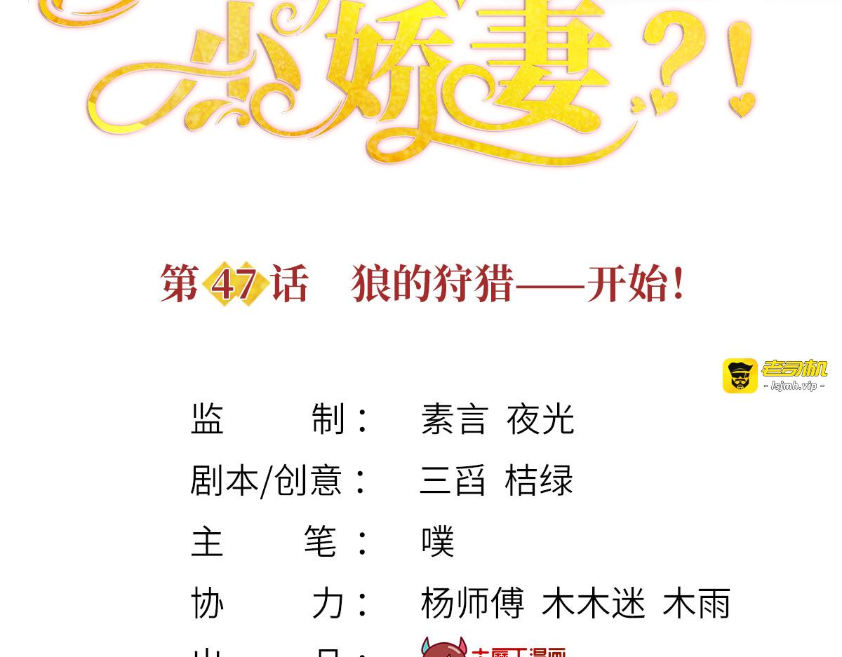 47.狼的狩猎——开始！ 第 3 页